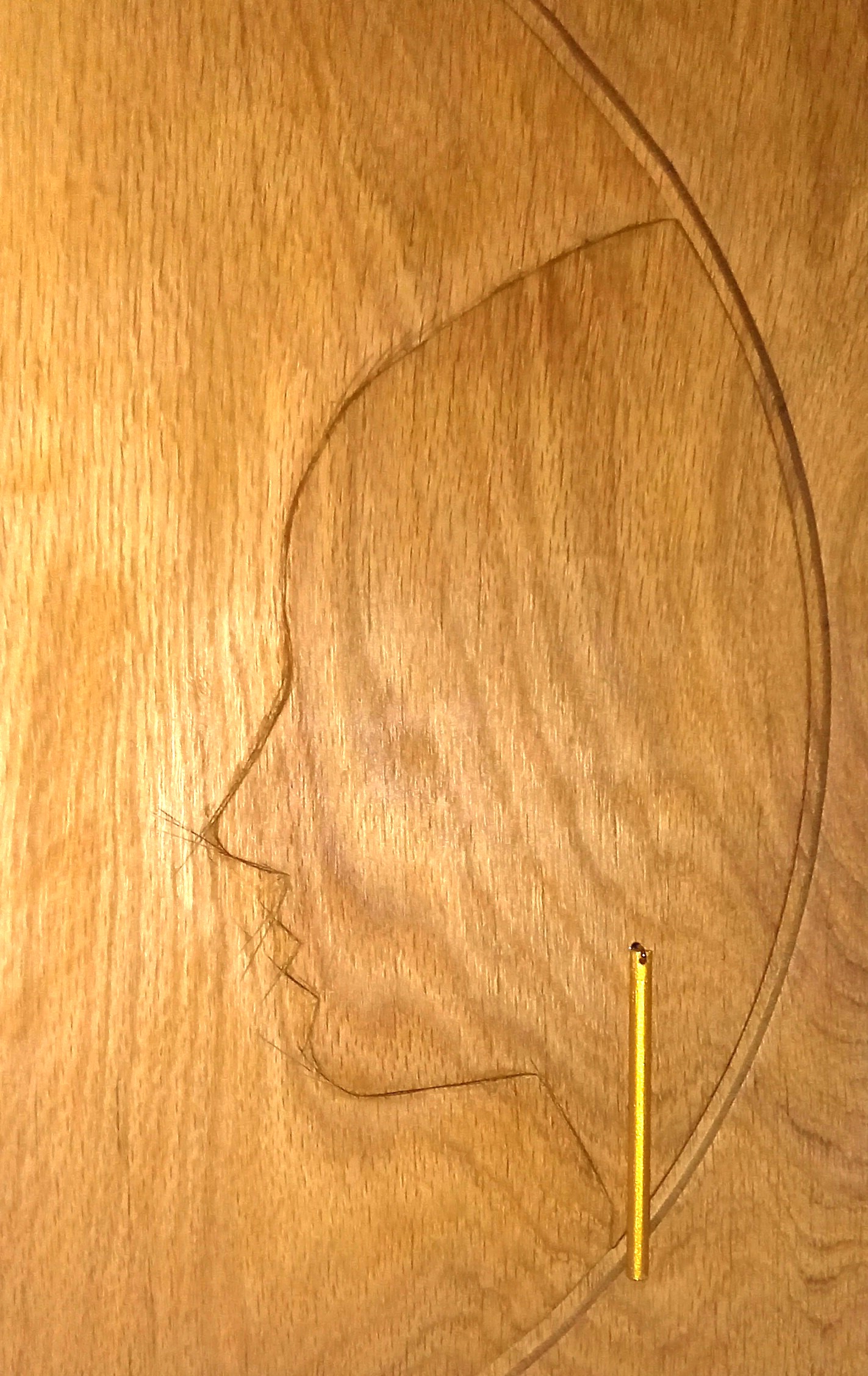 gesichtstafel mit ohhring